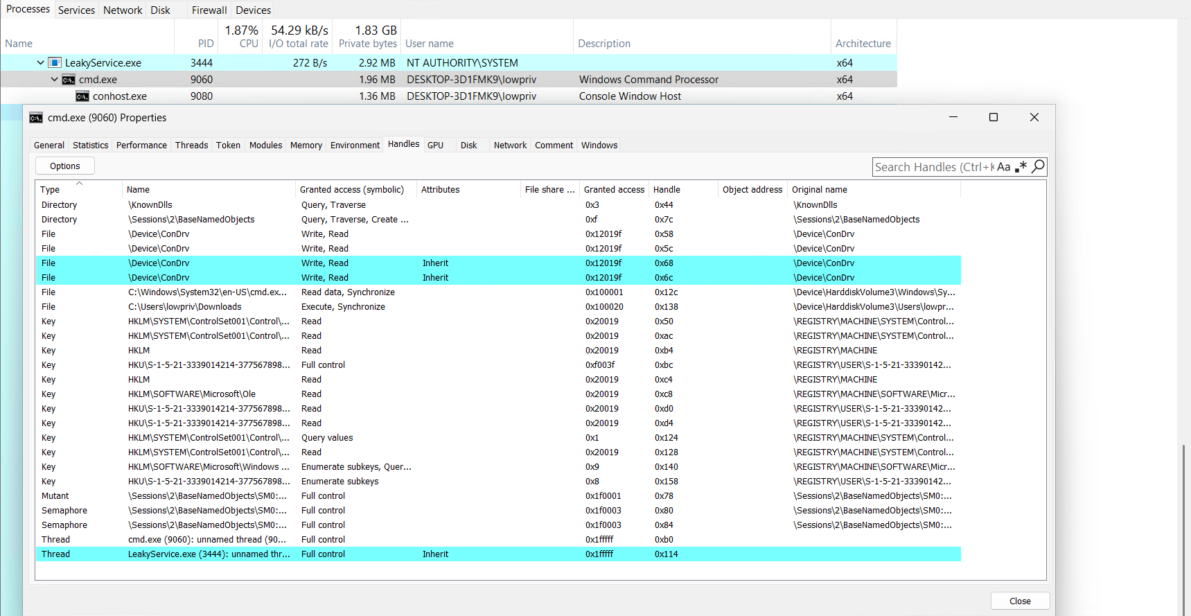 System Informer showing the leaked handle